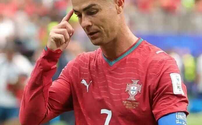 World cup highlights
